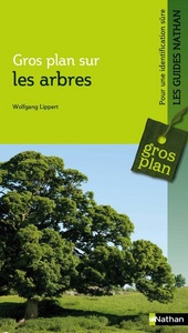 Gros plan sur les arbres