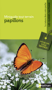 MGTT Papillons