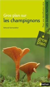 GROS PLAN SUR LES CHAMPIGNONS