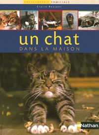 CHAT DANS LA MAISON NC