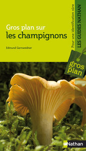 CHAMPIGNONS