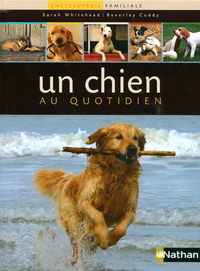 UN CHIEN AU QUOTIDIEN