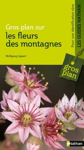 FLEURS DES MONTAGNES GROS PLAN SUR