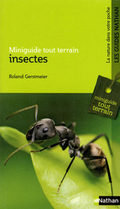 INSECTES