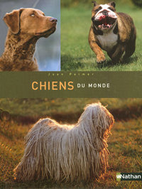 CHIENS DU MONDE