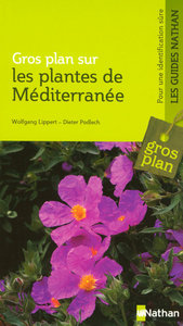 PLANTES DE MEDITERRANEE