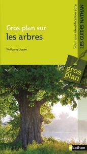 Gros plan sur les arbres