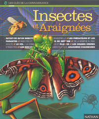 INSECTES ET ARAIGNEES