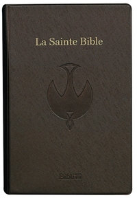 LA SAINTE BIBLE - BRUN