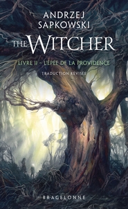 Sorceleur (Witcher) - Poche , T2 : L'Épée de la providence