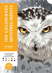 COLORIAGES MYSTERES - 100 COLORIAGES MYSTERES INEDITS - COLORIE LES CHIFFRES ET LES LETTRES, ET DECO