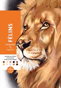 COLORIAGES MYSTERES - FELINS - COLORIE LES CHIFFRES ET LES LETTRES, ET DECOUVRE L'IMAGE !