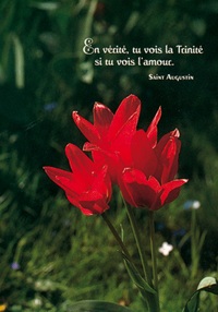 PACK LUMIERE CL16 10EX