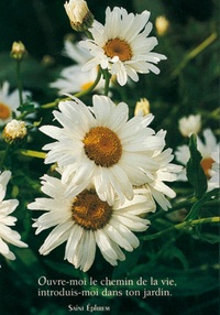 PACK LUMIERE CL30 10EX