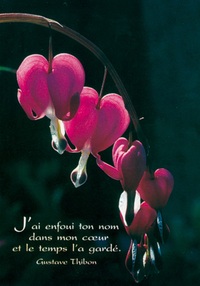 PACK SAISONS CP336 10EX