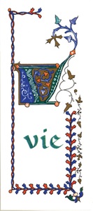 PACK TEMPS FORTS SI03 10EX