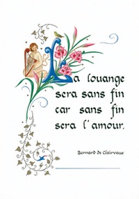 PACK ENLUMINURE AN213 10EX