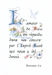 PACK ENLUMINURE AN126 10EX