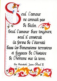 PACK ENLUMINURE AN310 10EX