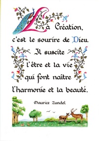 PACK ENLUMINURE AN336 10EX