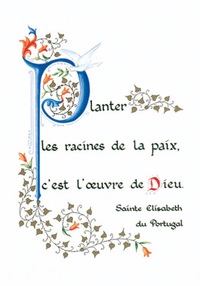 PACK ENLUMINURE AN237 10EX