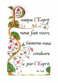 PACK ENLUMINURE AN148 10EX