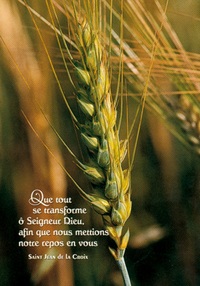 PACK LUMIERE CL19 10EX