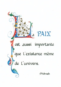 PACK ENLUMINURE AN235 10EX