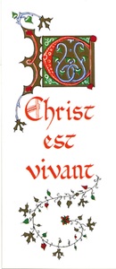 PACK TEMPS FORTS SI31 10EX