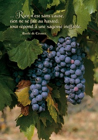 PACK LUMIERE CL21 10EX