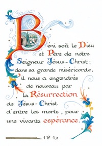 PACK ENLUMINURE AN164 10EX