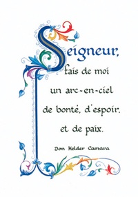 PACK ENLUMINURE AN229 10EX