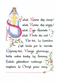 PACK ENLUMINURE AN203 10EX