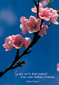 PACK SAISONS CP438 10EX