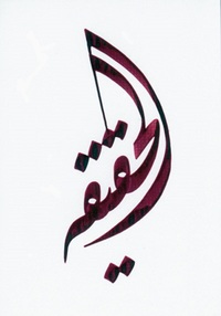 PACK VERITE HY06 10EX