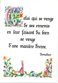 PACK ENLUMINURE AN275 10EX