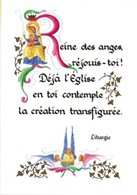 PACK ENLUMINURE AN338 10EX