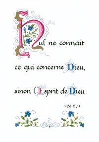 PACK ENLUMINURE AN157 10EX