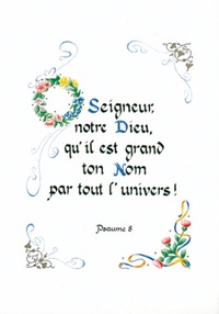 PACK ENLUMINURE AN216 10EX