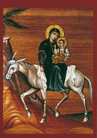 PACK FUITE EN EGYPTE A281 10EX