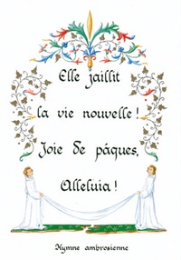 PACK ENLUMINURE AN242 10EX