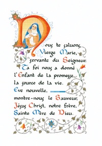 PACK ENLUMINURE AN200 10EX