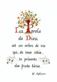 PACK ENLUMINURE AN192 10EX