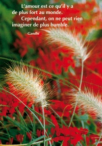 PACK SAISONS CP389 10EX