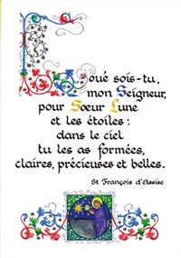 PACK ENLUMINURE AN340 10EX