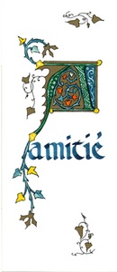 PACK TEMPS FORTS SI05 10EX