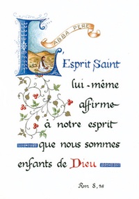 PACK ENLUMINURE AN149 10EX