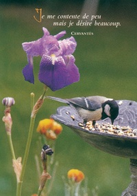 PACK SAISONS CP442 10EX