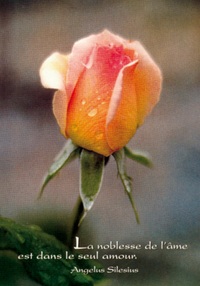 PACK SAISONS CP335 10EX