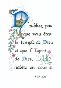 PACK ENLUMINURE AN155 10EX